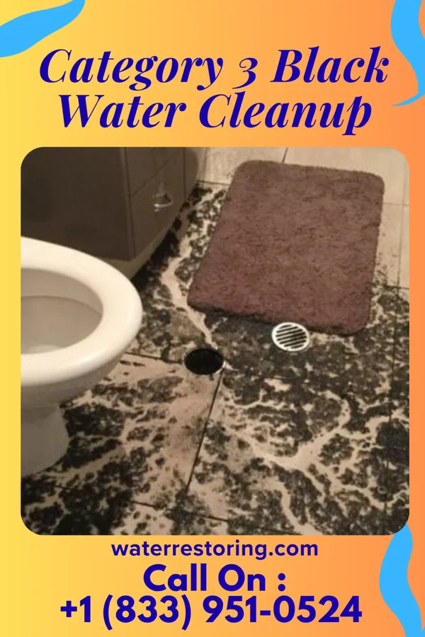 Category 3 Black Water Cleanup in Whitewater, IN