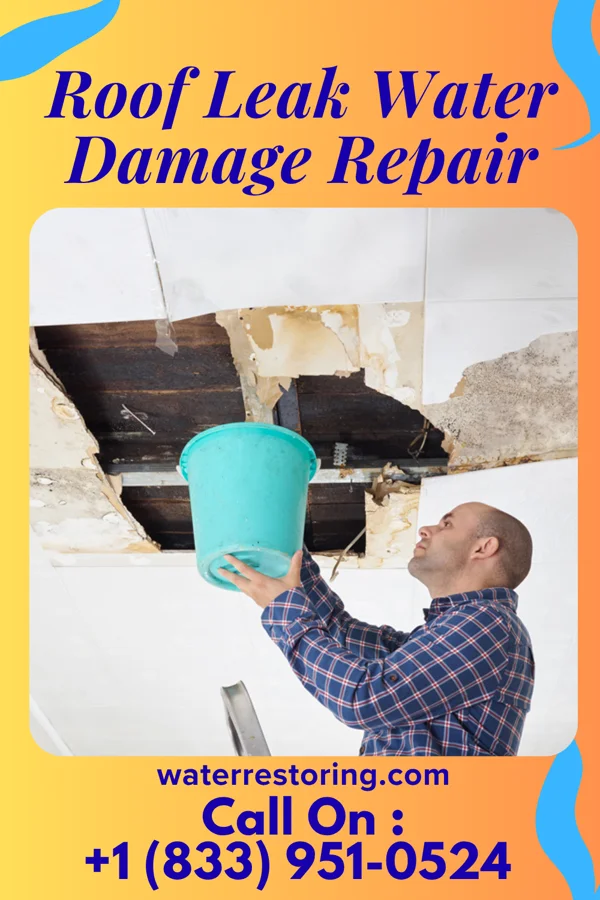 Roof Leak Water Damage Repair in Whitewater, IN