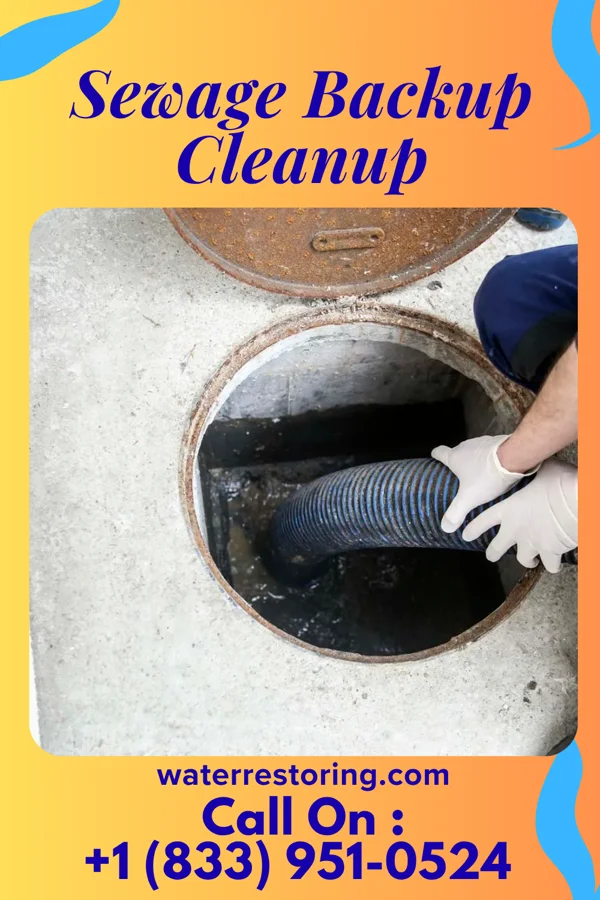 Sewage Backup Cleanup in Whitewater, IN