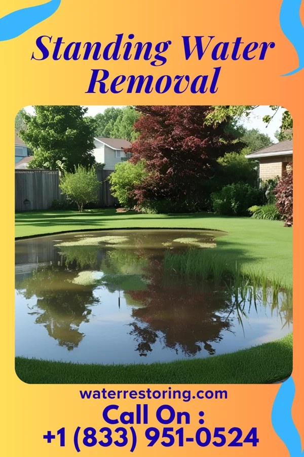 Standing Water Removal in Whitewater, IN